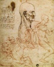 Haga click para ver la imagen ampliada sketches - sketches for 'the battle of anghiari'.jpg